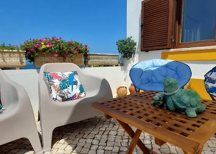 Pequena Baleia Ferrel (Leiria)